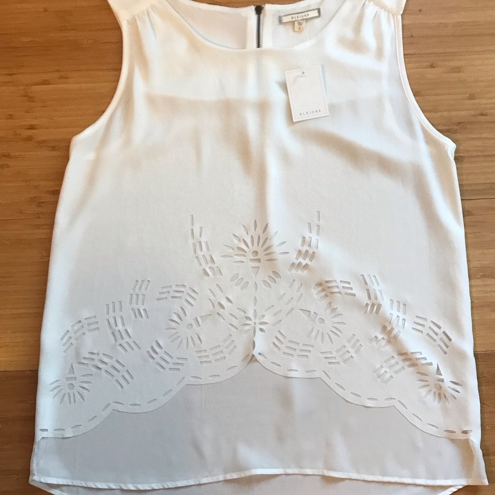Pleione Small Sleeveless Layered Sheer Blouse